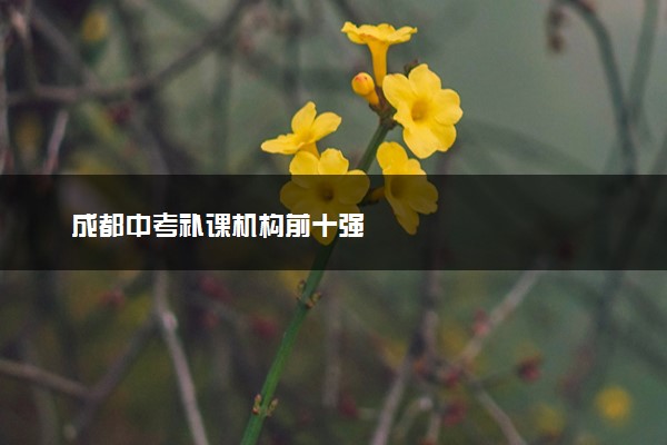 成都中考补课机构前十强