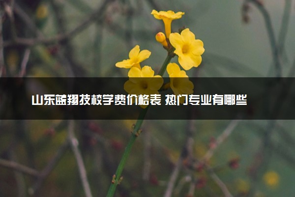 山东蓝翔技校学费价格表 热门专业有哪些
