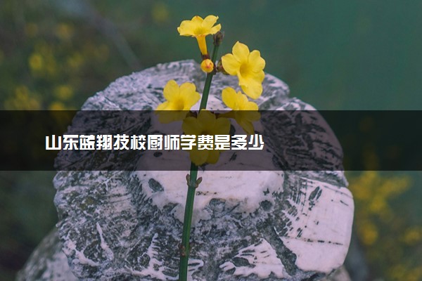 山东蓝翔技校厨师学费是多少