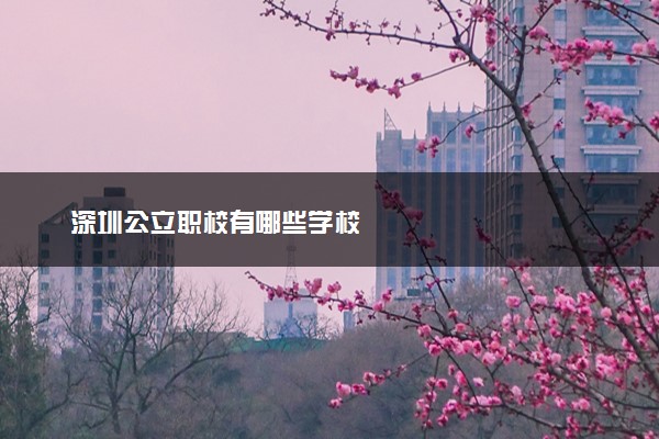 深圳公立职校有哪些学校