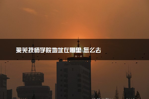 莱芜技师学院地址在哪里 怎么去