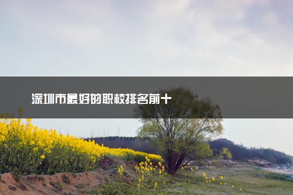 深圳市最好的职校排名前十