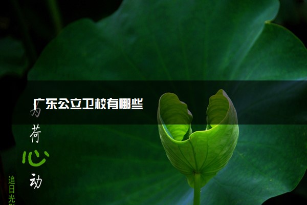 广东公立卫校有哪些