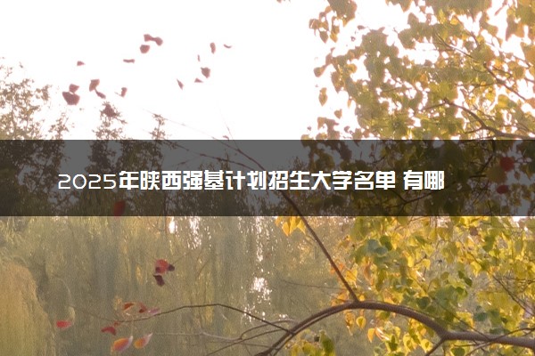 2025年陕西强基计划招生大学名单 有哪些专业