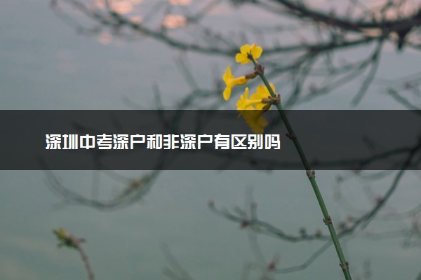 深圳中考深户和非深户有区别吗