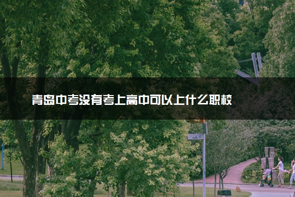 青岛中考没有考上高中可以上什么职校