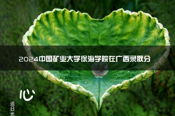2024中国矿业大学徐海学院在广西录取分数线 各专业分数及位次
