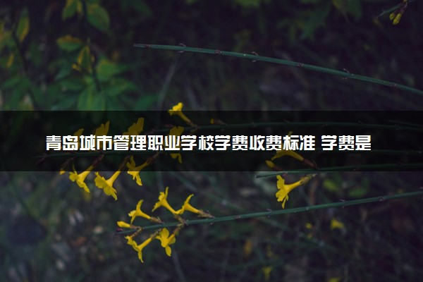 青岛城市管理职业学校学费收费标准 学费是多少