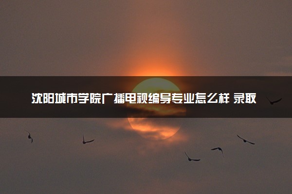 沈阳城市学院广播电视编导专业怎么样 录取分数线多少
