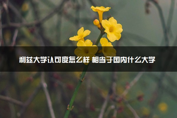 利兹大学认可度怎么样 相当于国内什么大学