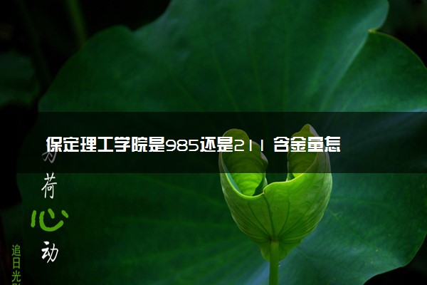 保定理工学院是985还是211 含金量怎么样