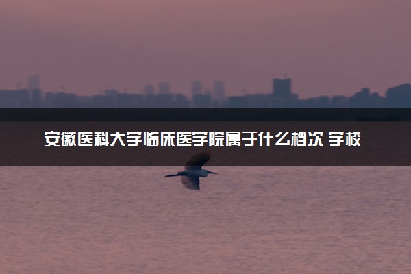 安徽医科大学临床医学院属于什么档次 学校好不好