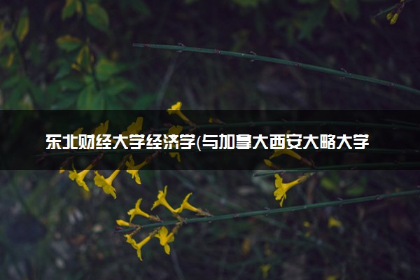 东北财经大学经济学（与加拿大西安大略大学国王大学学院合作办学项目）专业怎么样 录取分数线多少