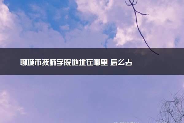 聊城市技师学院地址在哪里 怎么去