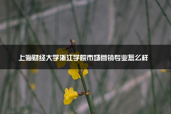 上海财经大学浙江学院市场营销专业怎么样 录取分数线多少