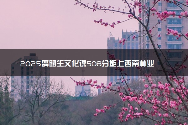 2025舞蹈生文化课508分能上西南林业大学吗