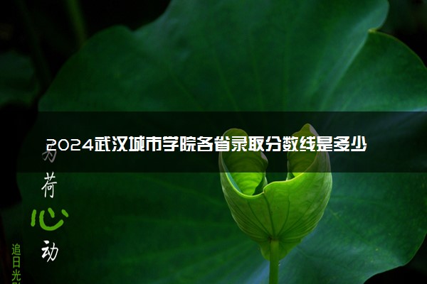 2024武汉城市学院各省录取分数线是多少 最低分及位次