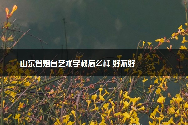 山东省烟台艺术学校怎么样 好不好