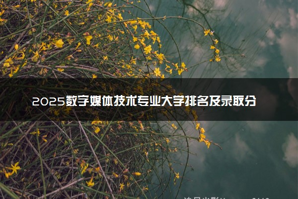2025数字媒体技术专业大学排名及录取分数线