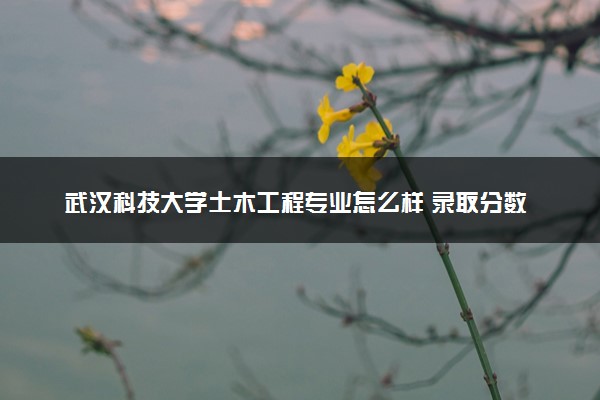 武汉科技大学土木工程专业怎么样 录取分数线多少