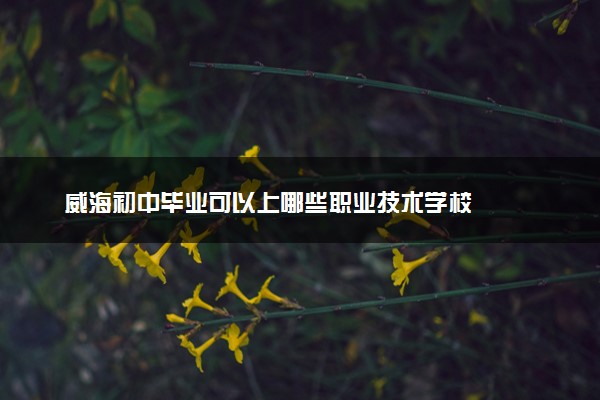 威海初中毕业可以上哪些职业技术学校