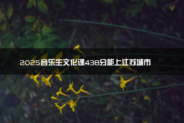 2025音乐生文化课438分能上江苏城市职业学院吗