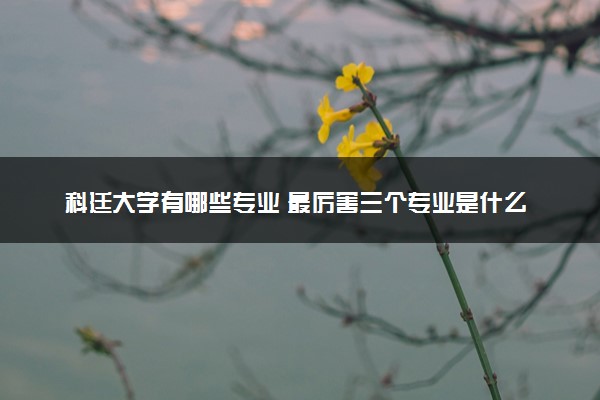 科廷大学有哪些专业 最厉害三个专业是什么