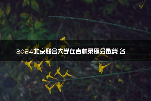 2024北京联合大学在吉林录取分数线 各专业分数及位次