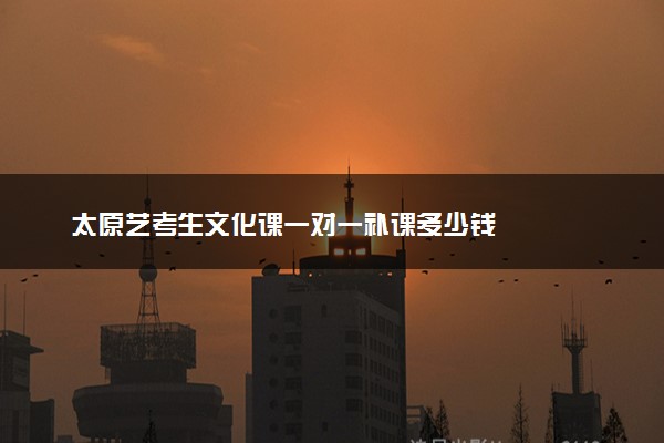 太原艺考生文化课一对一补课多少钱