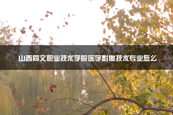 山西同文职业技术学院医学影像技术专业怎么样 录取分数线多少