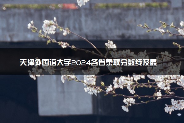 天津外国语大学2024各省录取分数线及最低位次是多少