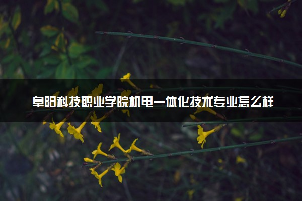 阜阳科技职业学院机电一体化技术专业怎么样 录取分数线多少