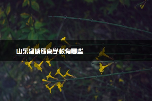 山东淄博职高学校有哪些