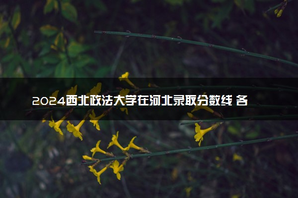 2024西北政法大学在河北录取分数线 各专业分数及位次