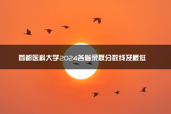 首都医科大学2024各省录取分数线及最低位次是多少
