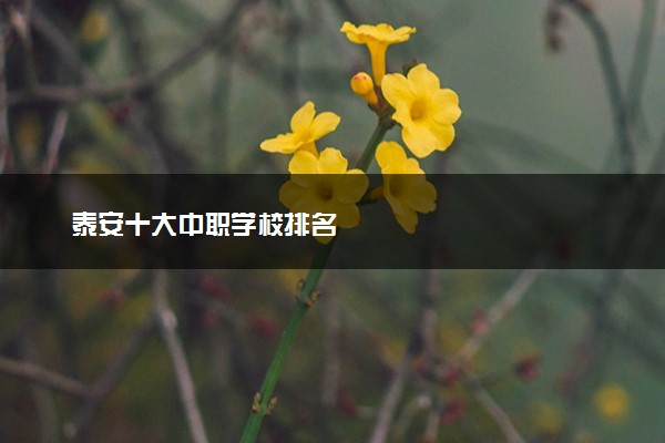 泰安十大中职学校排名