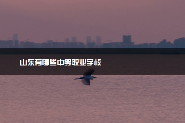 山东有哪些中等职业学校