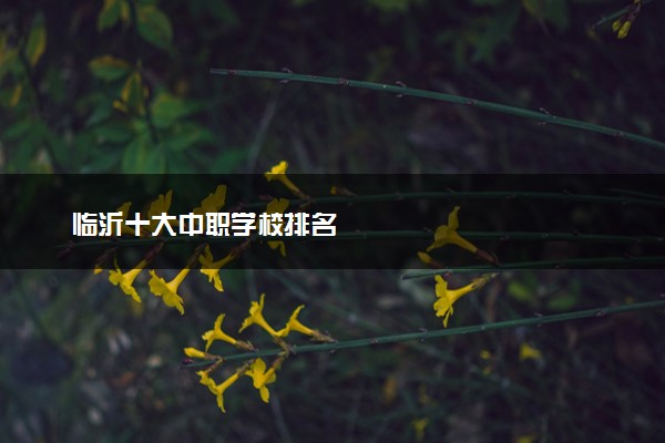 临沂十大中职学校排名