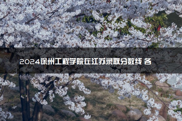 2024徐州工程学院在江苏录取分数线 各专业分数及位次