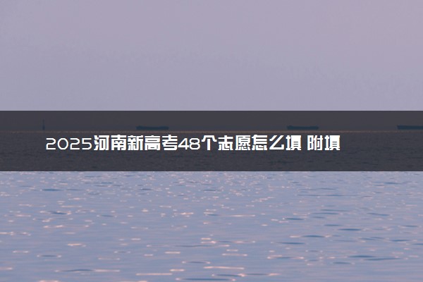 2025河南新高考48个志愿怎么填 附填报规则及志愿样表