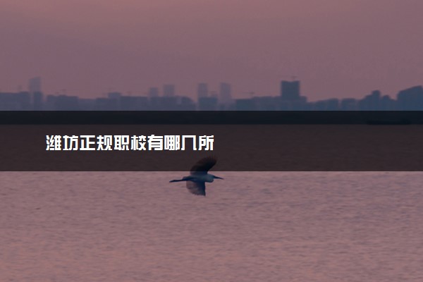 潍坊正规职校有哪几所