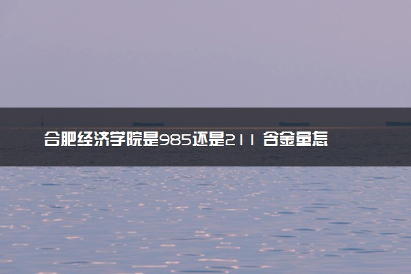 合肥经济学院是985还是211 含金量怎么样