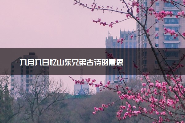 九月九日忆山东兄弟古诗的意思