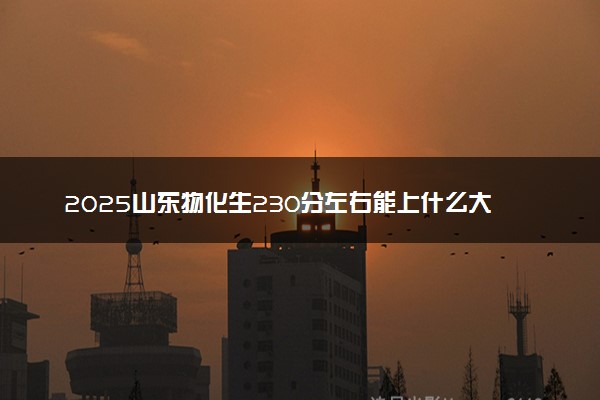 2025山东物化生230分左右能上什么大学 可以报考的院校名单