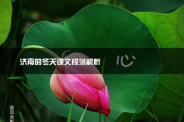 济南的冬天课文段落解析