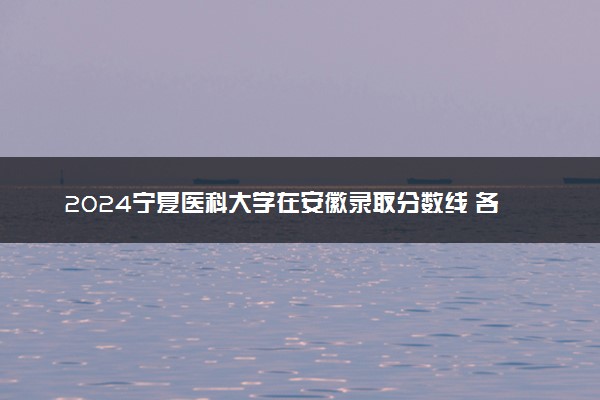 2024宁夏医科大学在安徽录取分数线 各专业分数及位次