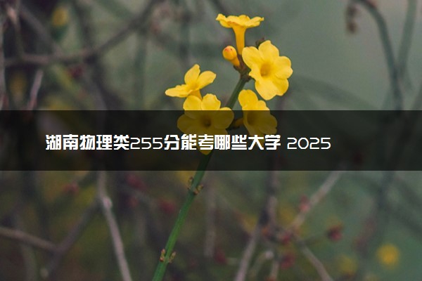 湖南物理类255分能考哪些大学 2025考生稳上的大学名单