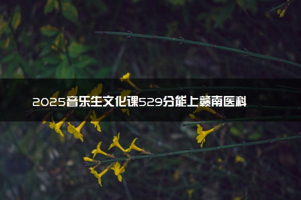 2025音乐生文化课529分能上赣南医科大学吗