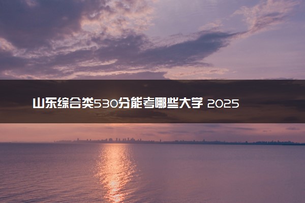 山东综合类530分能考哪些大学 2025考生稳上的大学名单