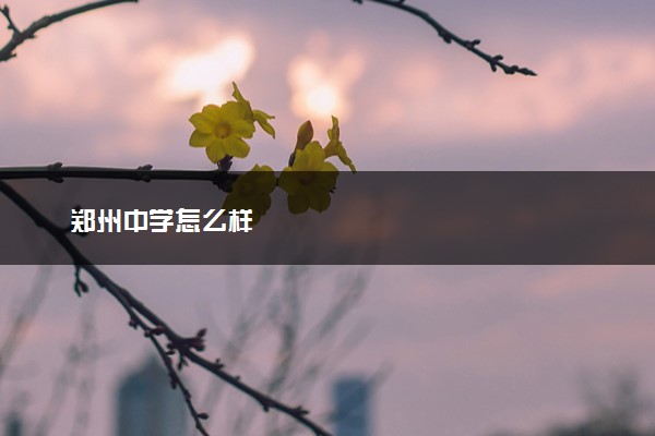 郑州中学怎么样